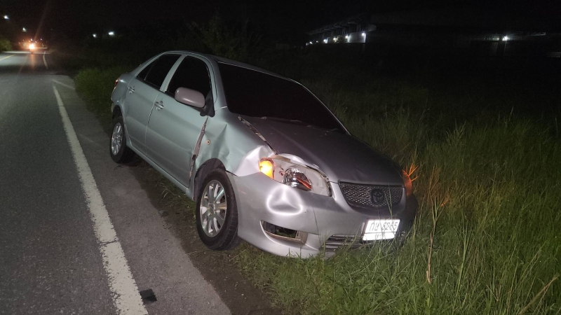 Young cow killed by car after wandering onto back road