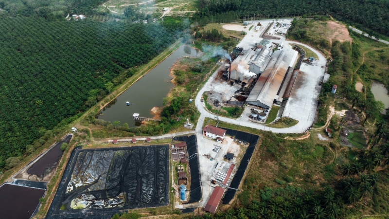 DSI prepares to file fraud, corruption charges against Krabi Oil-Palm Cooperative