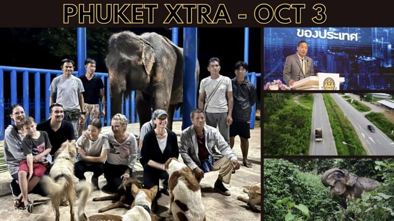 PHUKET XTRA: VIDEO: 1st elephant rescued in crypto animal welfare project in Phuket! Premier rolls out economic plans  || Oct 3