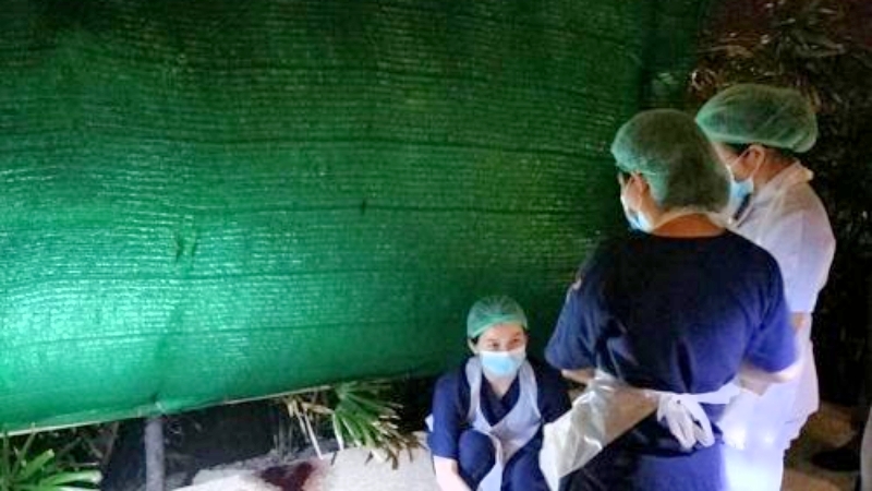 Chinese tourist falls to death at Phuket resort