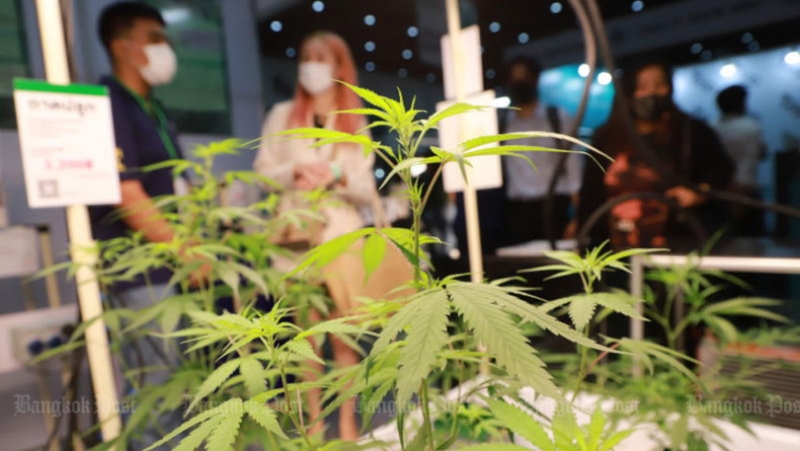 Cannabis loopholes to be closed
