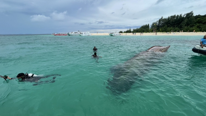 Tourists safe as longtail sinks off Bamboo Island