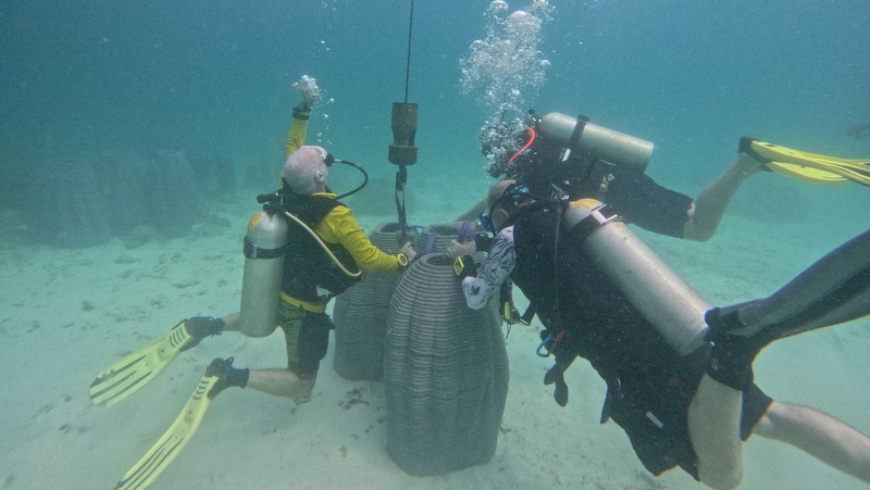 Reef restoration underway at Racha