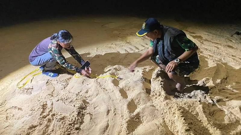 Third leatherback nest found at Khao Lampi beach