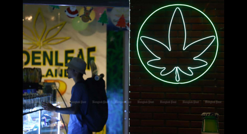 Pot law won’t blunt arrivals