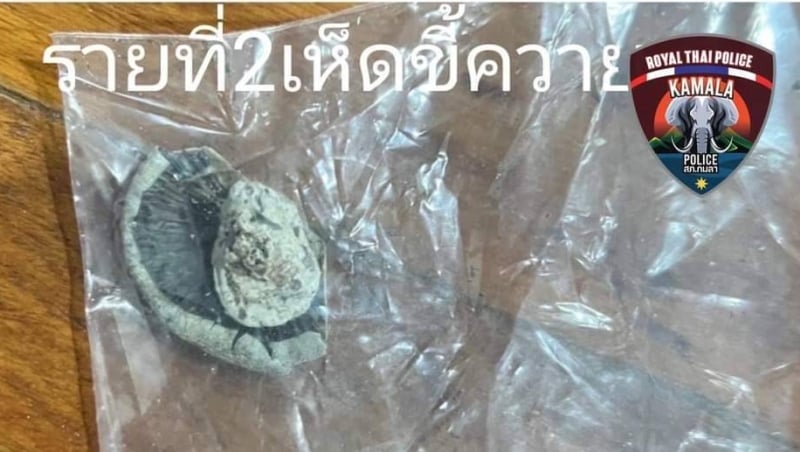American woman tourist arrested for magic mushrooms