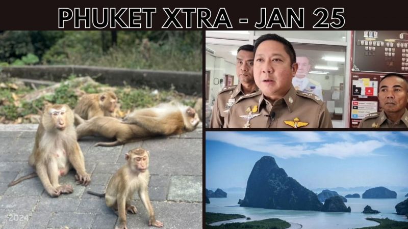 PHUKET XTRA: VIDEO: Monkey Hill vendors, Phuket Police investigate beating, Phang Nga lithium found? || Jan 25