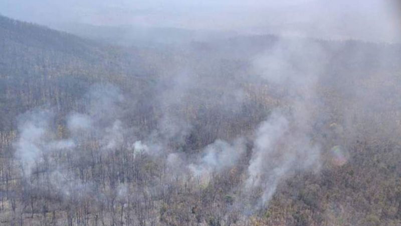 Firms to get tax cuts for forest fire donations