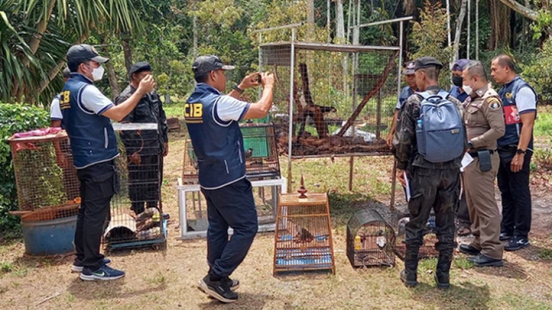 Couple arrested for selling rare animals