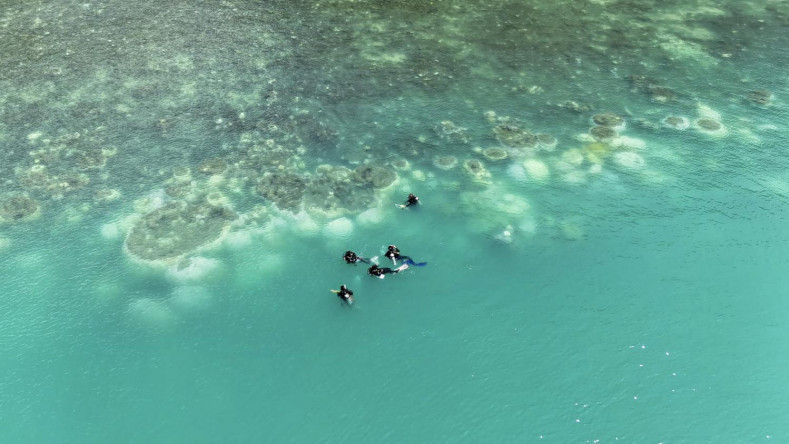 Bleaching affects reefs in Phang Nga and Krabi