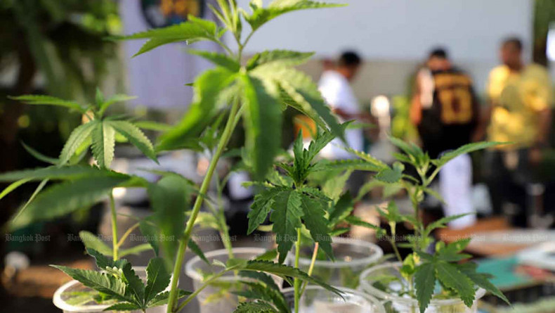 Weed treatment costs jump to B20bn, says Ministry