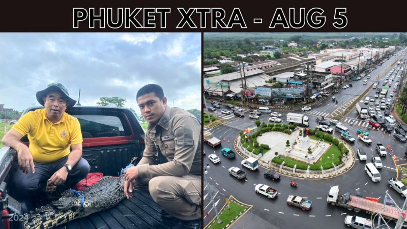 PHUKET XTRA: VIDEO: Island traffic woes to continue, Pygmy whales stranded, Phuket Crocodile captured || Aug 5