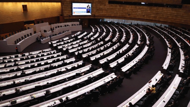 House advances on ethnic rights bill
