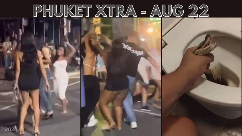 PHUKET XTRA: VIDEO: Toilet snake attack, Bangla confrontation prompts calls for safety, PPAO election prep || Aug 22