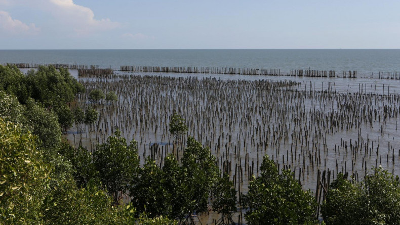 Call to fill in sea areas to combat erosion