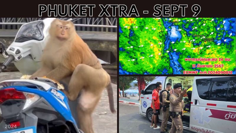 PHUKET XTRA: VIDEO: Phuket monkey warning, Machete brawl among Patong workers, Heavy rain on the way || Sep 9