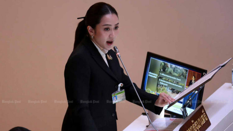 PM announces policies as opposition criticises progress