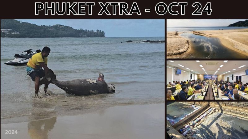 PHUKET XTRA: VIDEO: Chinese solutions to Phuket wastewater woes, Thai tourism tax, Karon drownings || Oct 24