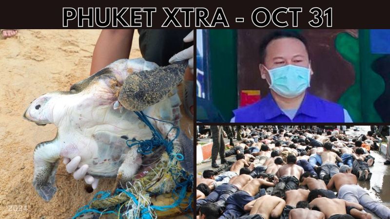 PHUKET XTRA: VIDEO: Suspect returns after massacre case expires, Dead turtle tangled in nets off Phuket || Oct 31