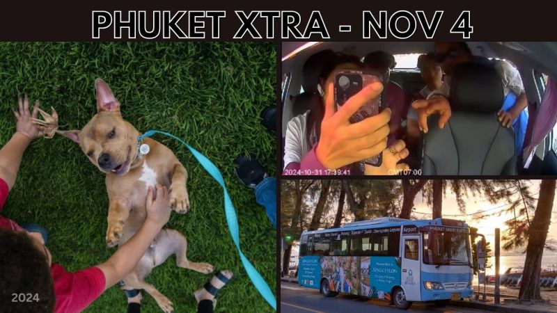 PHUKET XTRA VIDEO: Patong motorcycle taxi driver charged, Popular Patong Smart Bus, Bangkok pet policy || Nov 4