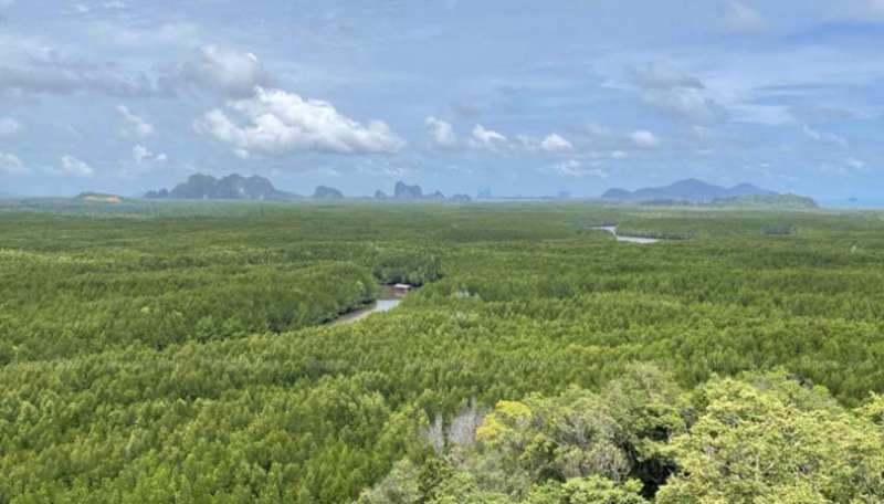Thai parks dept submits controversial forest bills to Cabinet