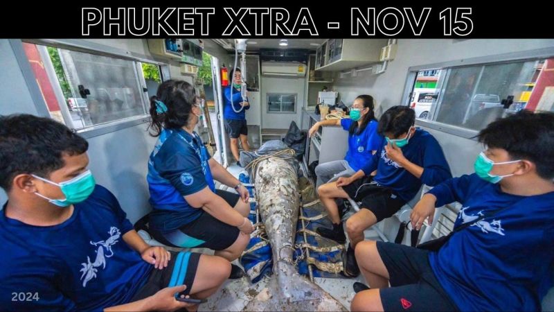 PHUKET XTRA: VIDEO: Loy Krathong festivities underway, Decapitated dugong found, Fugitive arrested || Nov 15