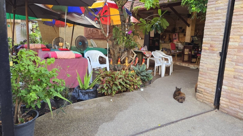 Police probe Singaporean tourist's death after Patong massage