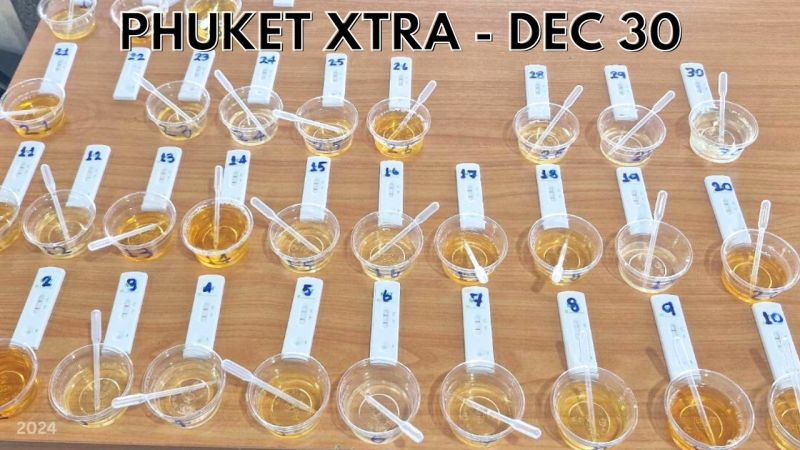 PHUKET XTRA: VIDEO: Boat operators at Chalong Pier test positive for meth || Dec 30