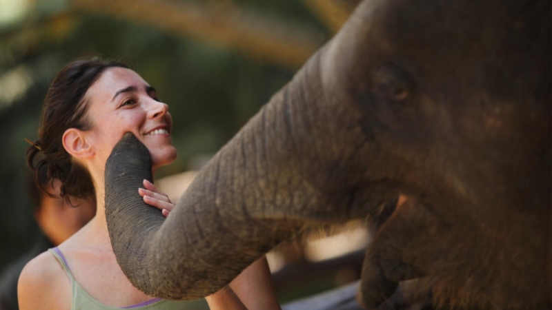 Spaniard’s death hits elephant camps