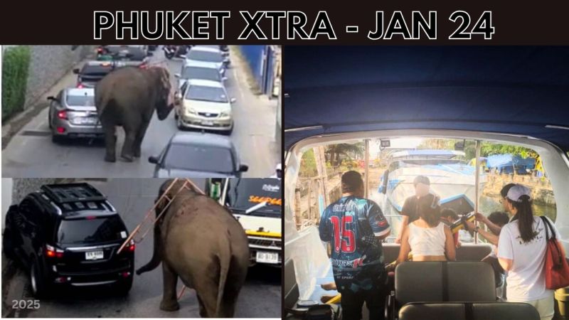 PHUKET XTRA: VIDEO: Elephant escapes and roams Phuket streets, Online TM6, Father fatally throws son || Jan 24