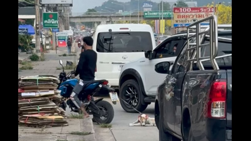 Court fines man B10,000 for dragging dog behind motorcycle