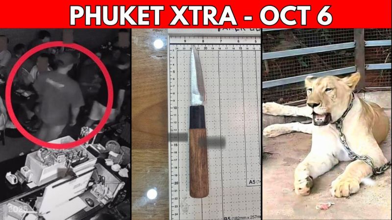 PHUKET XTRA: VIDEO: Phuket Town Stabbing Suspect Surrenders, Influencer’s Pet Lion Mauls 2 || Oct 6