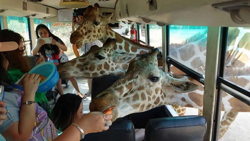 New measures to boost tourism