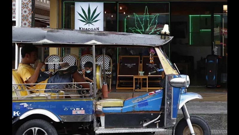 Cannabis shops face clampdown
