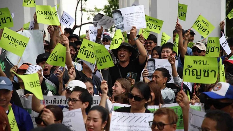 Cannabis activists demand parties clarify stance