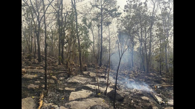 Enforcement of rules against open burning stepped up