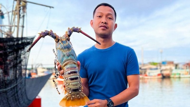 Phuket ‘seven-coloured lobster’ officially granted local GI status