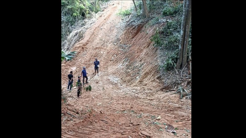 Kathu officials probe land clearing beside Bang Wad