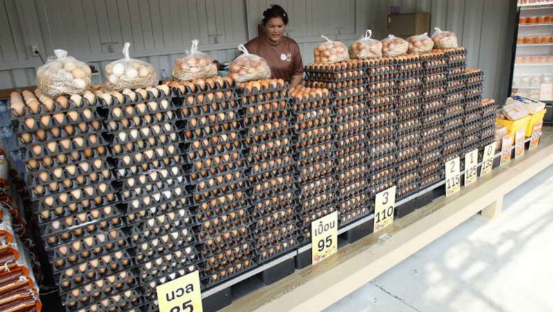 Thais demand government action on living costs