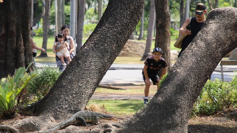 Tourism sector seeking clear policies