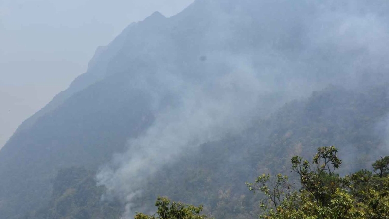 Toxic haze in the North triggers lung risks: expert