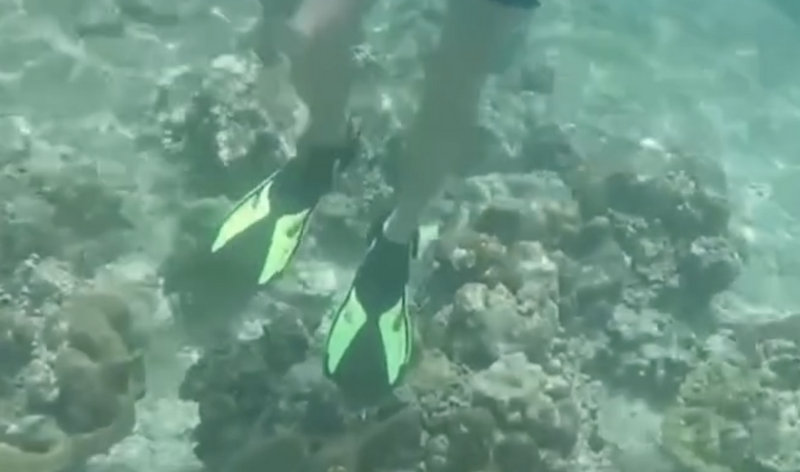 Officials react after tourist caught ‘coral walking’ at Maya Bay