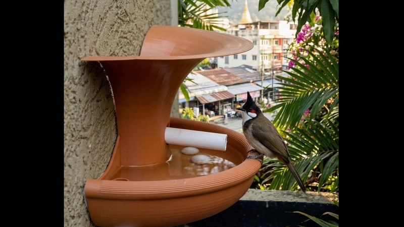 The Drops Of Life bird waterer collects waste water from air conditioners, helping birds survive in hot, dense urban environments where water sources are scarce. Photo: Supplied