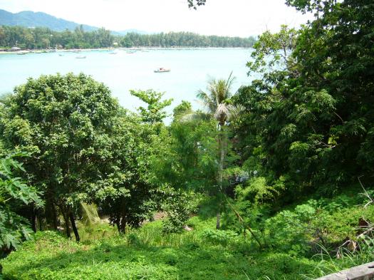Rawai Beachfront Land for Single or Double House for Sale